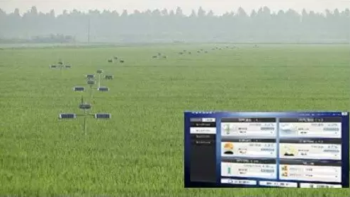 NB-IoT，農業物聯網產業化的新路徑